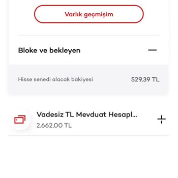 Akbank Hisse Senedi Alacak Bakiyesi