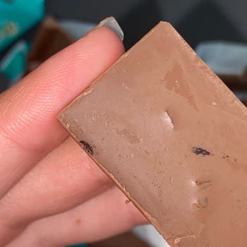 Ülker Çikolatalarından Böcek Çıktı!