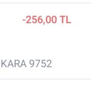 HGS Bakiye Yüklemesi Görünmüyor
