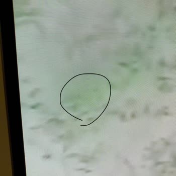 Samsung Oled Piksel Hatası