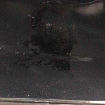 Silverline Fırın'ın Tahribatı Sonrası Yaptığım Şikayetin Reddedilmesi