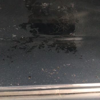 Silverline Fırın'ın Tahribatı Sonrası Yaptığım Şikayetin Reddedilmesi