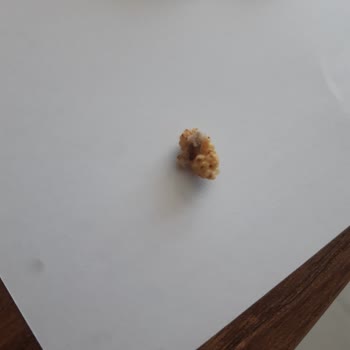 Harras Marka Kuruyemiş Ve Meyve Kurusu Küflü Kurtlu Ürün