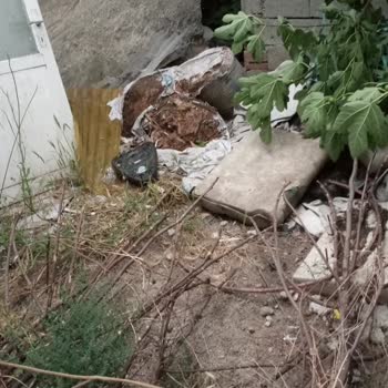 Denizli Büyükşehir Belediyesi Hurda Toplanması Nedeniyle Evimizde Sinekler Ve Lağım Fareleri Var
