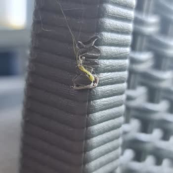 Bauhaus Defolu Ürün Yolladı