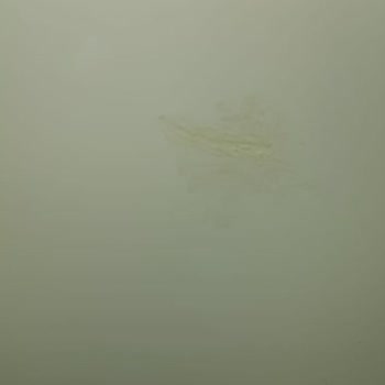 Bosch Tedarikçilerinin Çizik Buzdolabı Getirmesi Sorunu