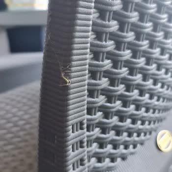 Bauhaus Delivered Discolored and Dirty Chairs