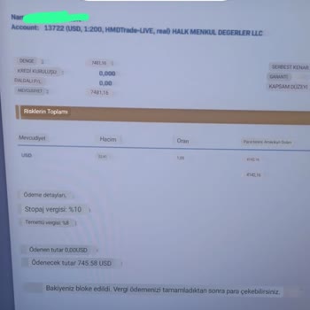 Hmd Fx Paramı Alamıyorum