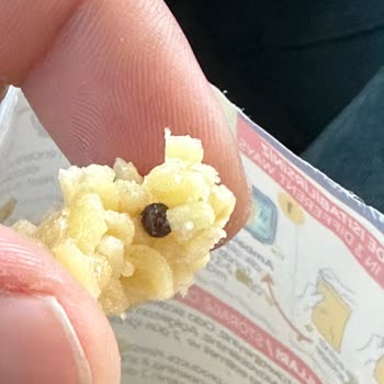 Yayla Bakliyat Nohutlu Pilav Ürününden Çıkan Yabancı Cisim