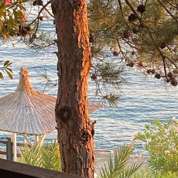 Miarosa İncekum Beach Hotel Bu Yorumu Okumadan Bu Otele Gitmeye Karar Vermeyin