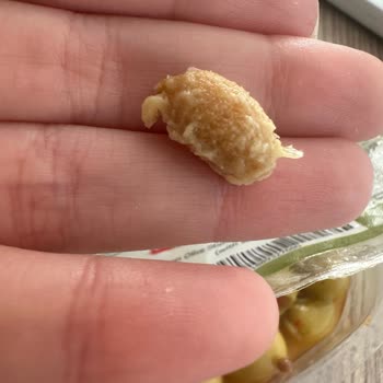 Olea Familya Biberli Soslu Zeytinin Çekirdekli Çıkması Ve Dolgumu Kırması