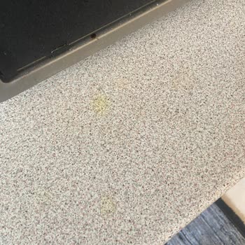 Naturel Clean Ev Temizliği İçin Kötü Deneyim