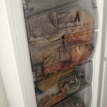 Grundig Derin Dondurucu Daha 1 Aylık Nasıl Bozuldu?