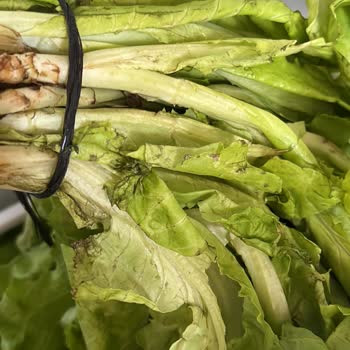 Arçelik Buzdolabı Ürünleri Çürütüyor