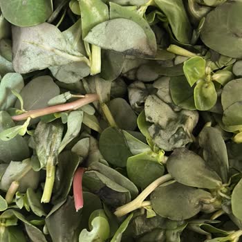 Arçelik Buzdolabı Ürünleri Çürütüyor