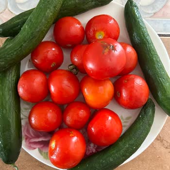 Arçelik Buzdolabı Ürünleri Çürütüyor