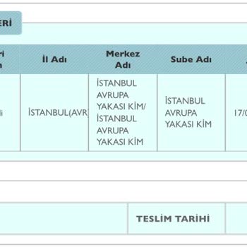 PTT Kargonun Gecikmesi