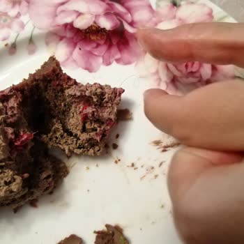 Pelit Pastanesi Kıllı Tüylü Pastası Ve İlgisiz Şube Beykent