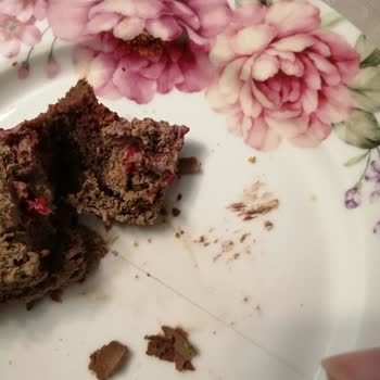 Pelit Pastanesi Kıllı Tüylü Pastası Ve İlgisiz Şube Beykent