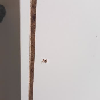 İpek Mobilya Mağduriyet, Sorumsuzluk, Pişmanlık