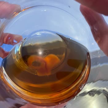 Lipton ice Tea Bozuk Küflü Ürün