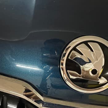 Doğuş Oto Kaput Kaplama (Ppf) Müşteri Memnuniyeti