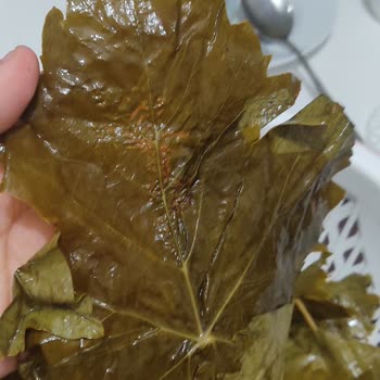 Enfes Ev Lezzetleri (enfes_ev_lezzetleri) Aldığım Ürünün Resimlerde Göründüğü Gibi Çıkmadı