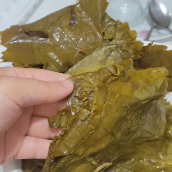 Enfes Ev Lezzetleri (enfes_ev_lezzetleri) Aldığım Ürünün Resimlerde Göründüğü Gibi Çıkmadı