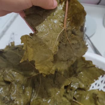 Enfes Ev Lezzetleri (enfes_ev_lezzetleri) Aldığım Ürünün Resimlerde Göründüğü Gibi Çıkmadı