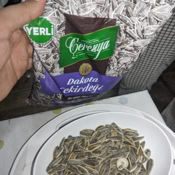 Çerezya Çekirdekte Salyangoz Çıktı