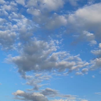 Myboxtech.co Myboxtech Marka Akıllı Saat Siparişi Verdim Ancak Ürün Gelmedi