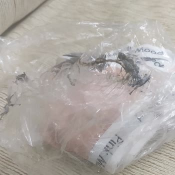 Trendyol Siparişi Aras Kargo Yanmış Kargo Getiriyor