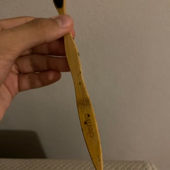 A 101 Diş Fırçası Küflenmesi