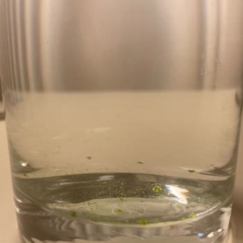 Kuzeyden Su Damacana Yeşilleniyor Ve İçinde Yeşil Şeyler Oluşuyor