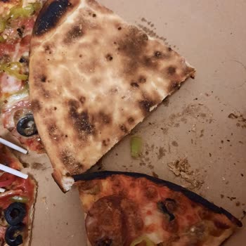 Pizza Station Pizza İçinden Karınca Çıktı Trendyol