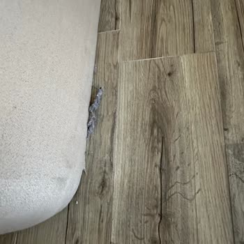 Khall Suite's Otel Temizlik Sorunu!