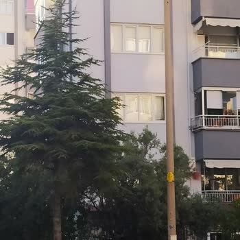 Denizli Büyükşehir Belediyesi Yenişehir Mahallesi Sokak Lambaları Aydınlıkta Yanıyor