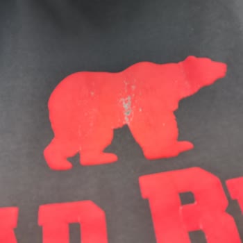 Bad Bear T-shirt Logo Soyulması