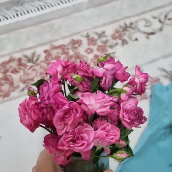 ÇiçekSepeti 45 Gül Yazıp, 26 Gül Göndermek Nedir