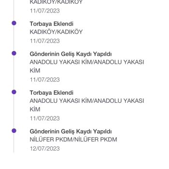 Bir Türlü Dağıtıma Çıkmayan PTT Kargo