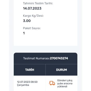 Sürat Kargo Kargo Teslim Edilmemesi