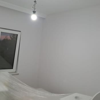 Polisan Yeni Rüya Rengi Beyazımsı Diye Aldık Lila Çıktı