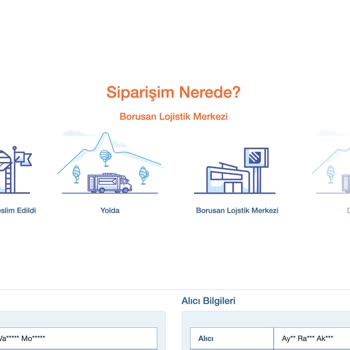 Borusan Lojistik Siparişimin Bana Teslim Edilmemesi