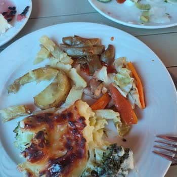 Afytos Akçay Tatil Köyünde Yaşanan Sorunlar