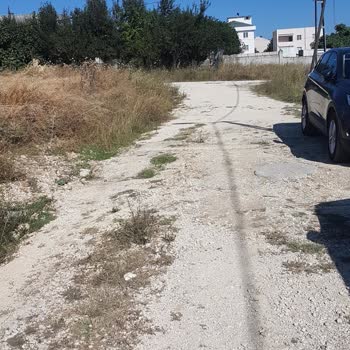 Büyükçekmece Belediyesi Asfalt İsteği Talebi