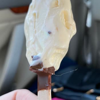 Magnum Dondurmanın İçinden Kıl Çıktı