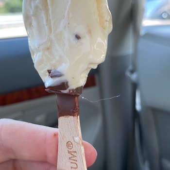 Magnum Dondurmanın İçinden Kıl Çıktı