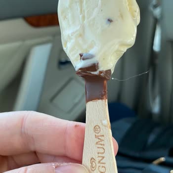 Magnum Dondurmanın İçinden Kıl Çıktı