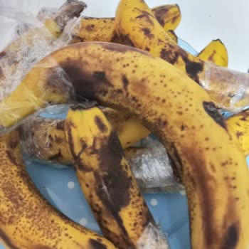 Migros Çürük Meyve Gönderdi