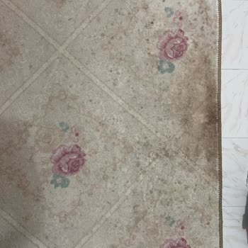 Çınar Halı Yıkama (Esenler) Halılarımı Yıkamadan Getirdi